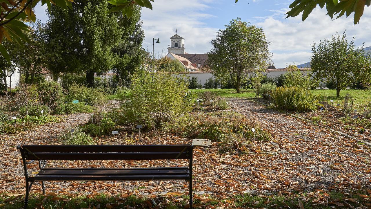 Mariastein Klosterhotel Kreuz מראה חיצוני תמונה